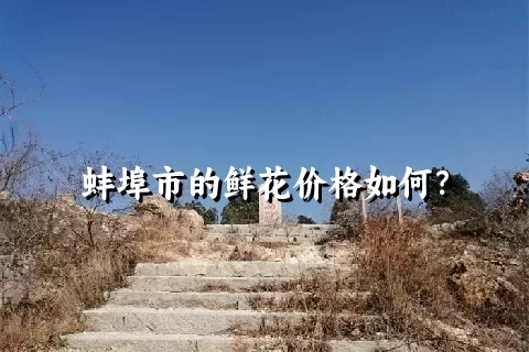 蚌埠市的鲜花价格如何？