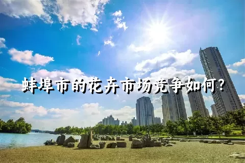 蚌埠市的花卉市场竞争如何？