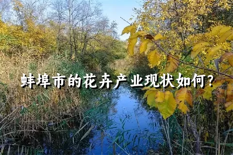 蚌埠市的花卉产业现状如何？