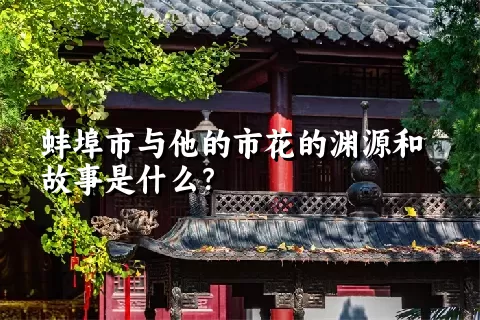 蚌埠市与他的市花的渊源和故事是什么？