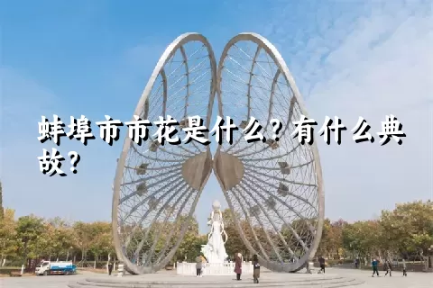 蚌埠市市花是什么？有什么典故？