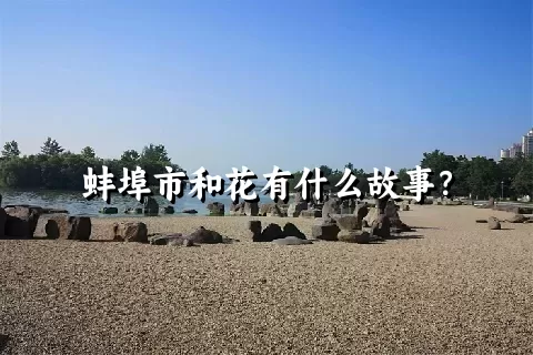 蚌埠市和花有什么故事？