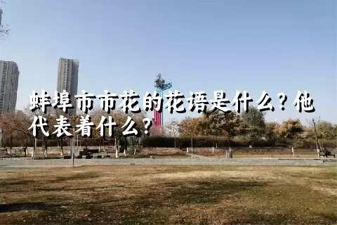 蚌埠市市花的花语是什么？他代表着什么？