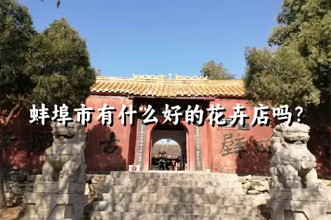 蚌埠市有什么好的花卉店吗？