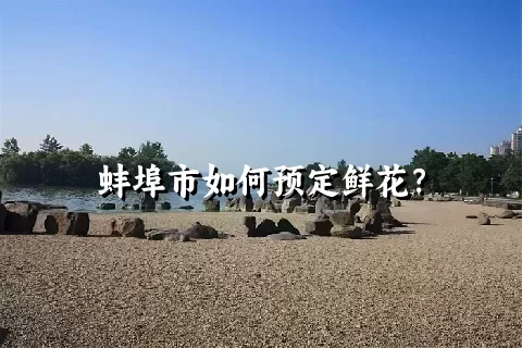 蚌埠市如何预定鲜花？