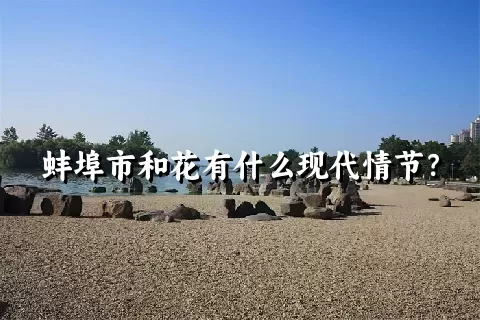 蚌埠市和花有什么现代情节？