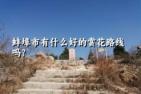 蚌埠市有什么好的赏花路线吗？