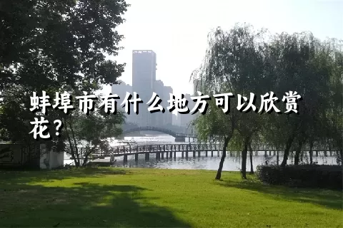 蚌埠市有什么地方可以欣赏花？