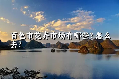 百色市花卉市场有哪些？怎么去？