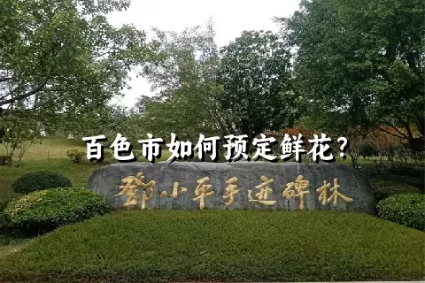 百色市如何预定鲜花？