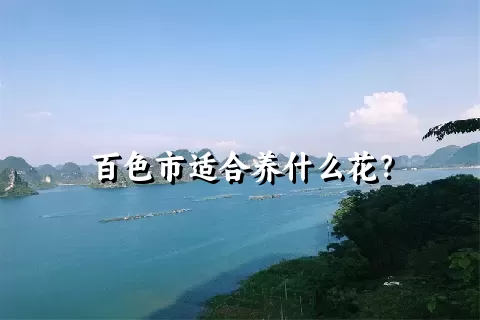 百色市适合养什么花？