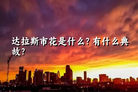 达拉斯市花是什么？有什么典故？