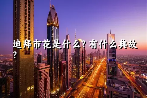 迪拜市花是什么？有什么典故？