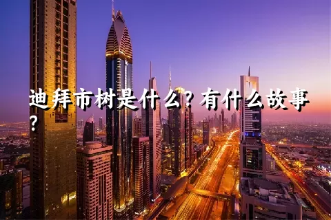 迪拜市树是什么？有什么故事？