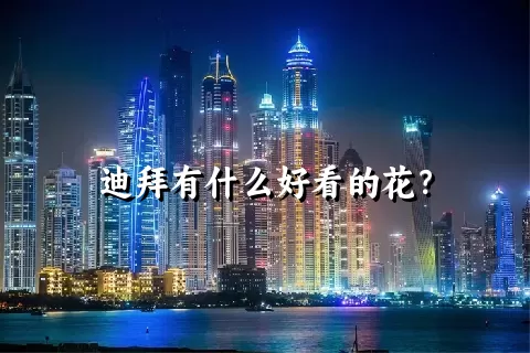 迪拜有什么好看的花？