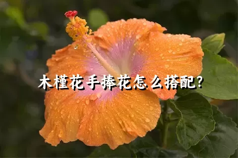 木槿花手捧花怎么搭配？