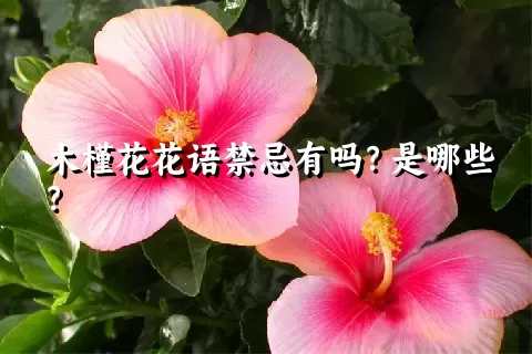 木槿花花语禁忌有吗？是哪些？