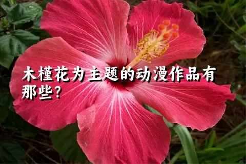 木槿花为主题的动漫作品有那些？