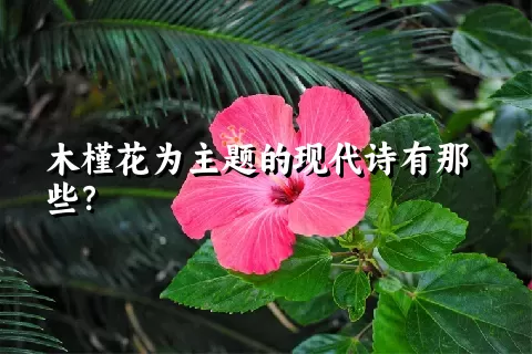 木槿花为主题的现代诗有那些？