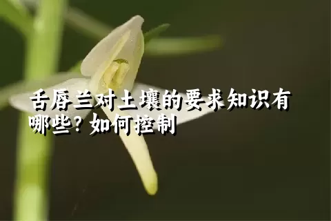 舌唇兰对土壤的要求知识有哪些？如何控制