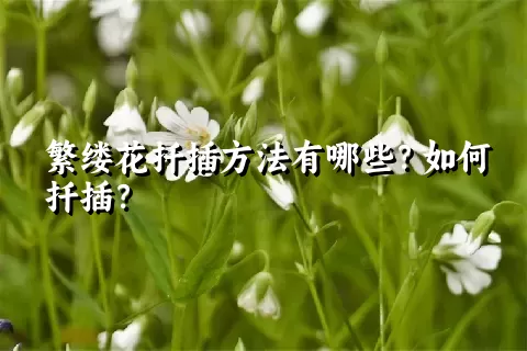 繁缕花扦插方法有哪些？如何扦插？