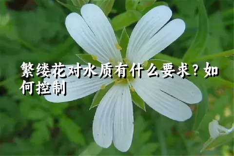 繁缕花对水质有什么要求？如何控制