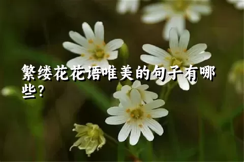 繁缕花花语唯美的句子有哪些？