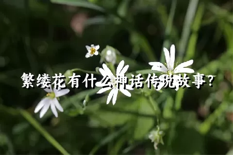 繁缕花有什么神话传说故事？