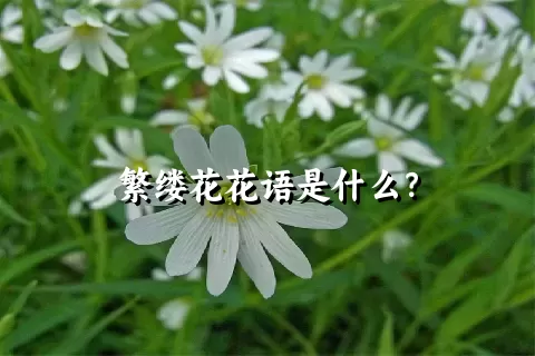 繁缕花花语是什么？