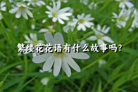 繁缕花花语有什么故事吗？