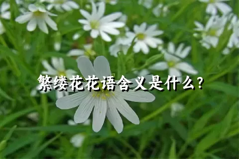 繁缕花花语含义是什么？