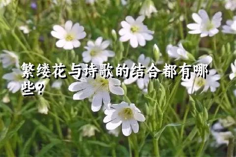 繁缕花与诗歌的结合都有哪些？