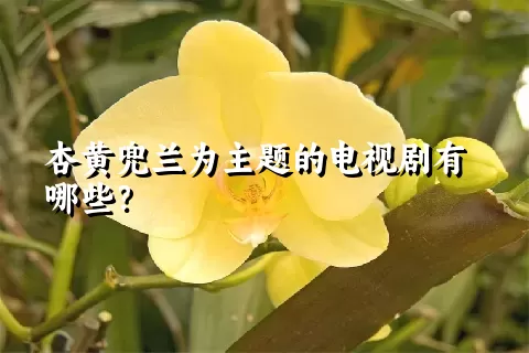 杏黄兜兰为主题的电视剧有哪些？