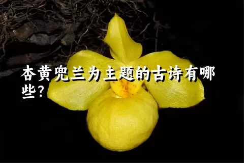 杏黄兜兰为主题的古诗有哪些？