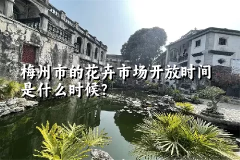 梅州市的花卉市场开放时间是什么时候？