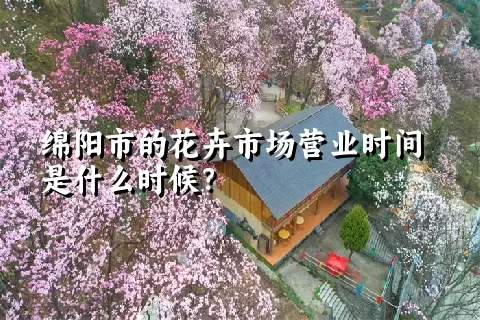 绵阳市的花卉市场营业时间是什么时候？