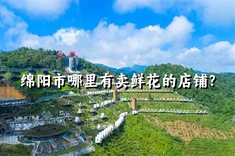 绵阳市哪里有卖鲜花的店铺？