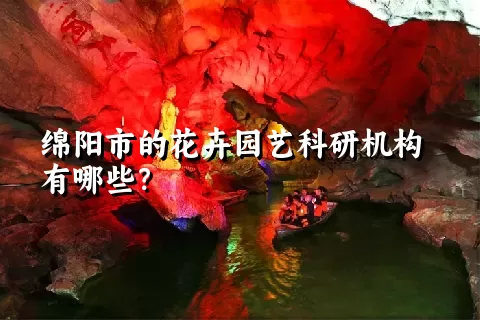 绵阳市的花卉园艺科研机构有哪些？