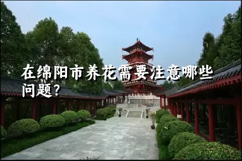 在绵阳市养花需要注意哪些问题？