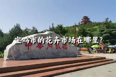 宝鸡市的花卉市场在哪里？