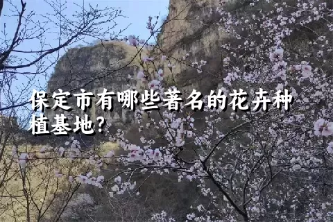 保定市有哪些著名的花卉种植基地？