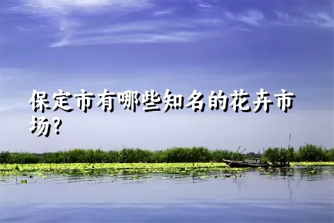 保定市有哪些知名的花卉市场？