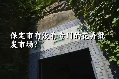 保定市有没有专门的花卉批发市场？