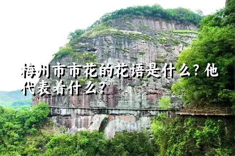 梅州市市花的花语是什么？他代表着什么？