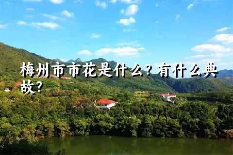 梅州市市花是什么？有什么典故？