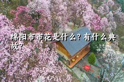 绵阳市市花是什么？有什么典故？