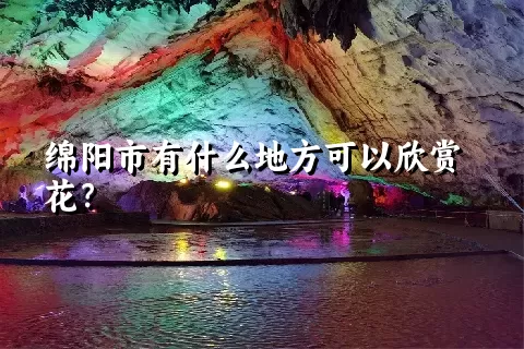 绵阳市有什么地方可以欣赏花？