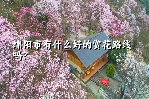 绵阳市有什么好的赏花路线吗？