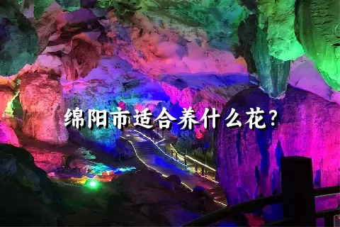 绵阳市适合养什么花？