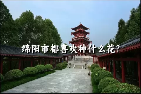 绵阳市都喜欢种什么花？